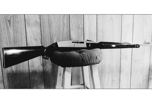 Gun